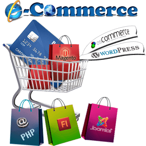 Ecommerce-Web-Development